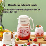 Portable Rechargeable Juicer Blender (1L)
