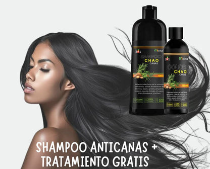 Chao Canas ™ | Shampoo 3 en 1 + Tratamiento Nutritivo de Regalo